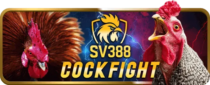 Hoàn trả cược HV88
